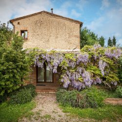 Property near Pienza for Sale image 18