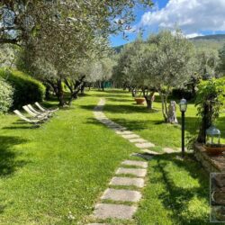 5 bedroom house with pool for sale near Cortona Tuscany (3)