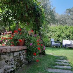 5 bedroom house with pool for sale near Cortona Tuscany (32)