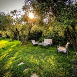 5 bedroom house with pool for sale near Cortona Tuscany (4)