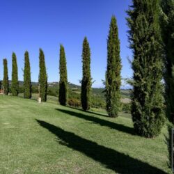 Beautiful Villa for sale near Montepulciano Tuscany (6)