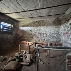 Farmhouse to restore near Lajatico Tuscany (17)