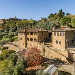 Stone farmhouse property for sale near Trequanda Tuscany (23)