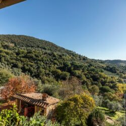 Stone farmhouse property for sale near Trequanda Tuscany (53)