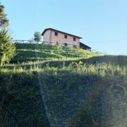 V567112 house for sale near Gallicano Tuscany (8)