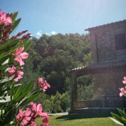 Two houses with pool for sale near Castelnuovo Val di Cecina Tuscany (18)