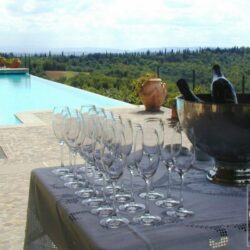 Winery-with-Castle-for-sale-Gaiole-in-Chianti-15