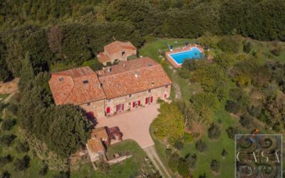 Large Farmhouse with Pool & 700 Olive Trees near Chianni