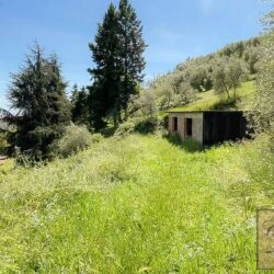 Villa with pool for sale near Buggiano Tuscany (131)