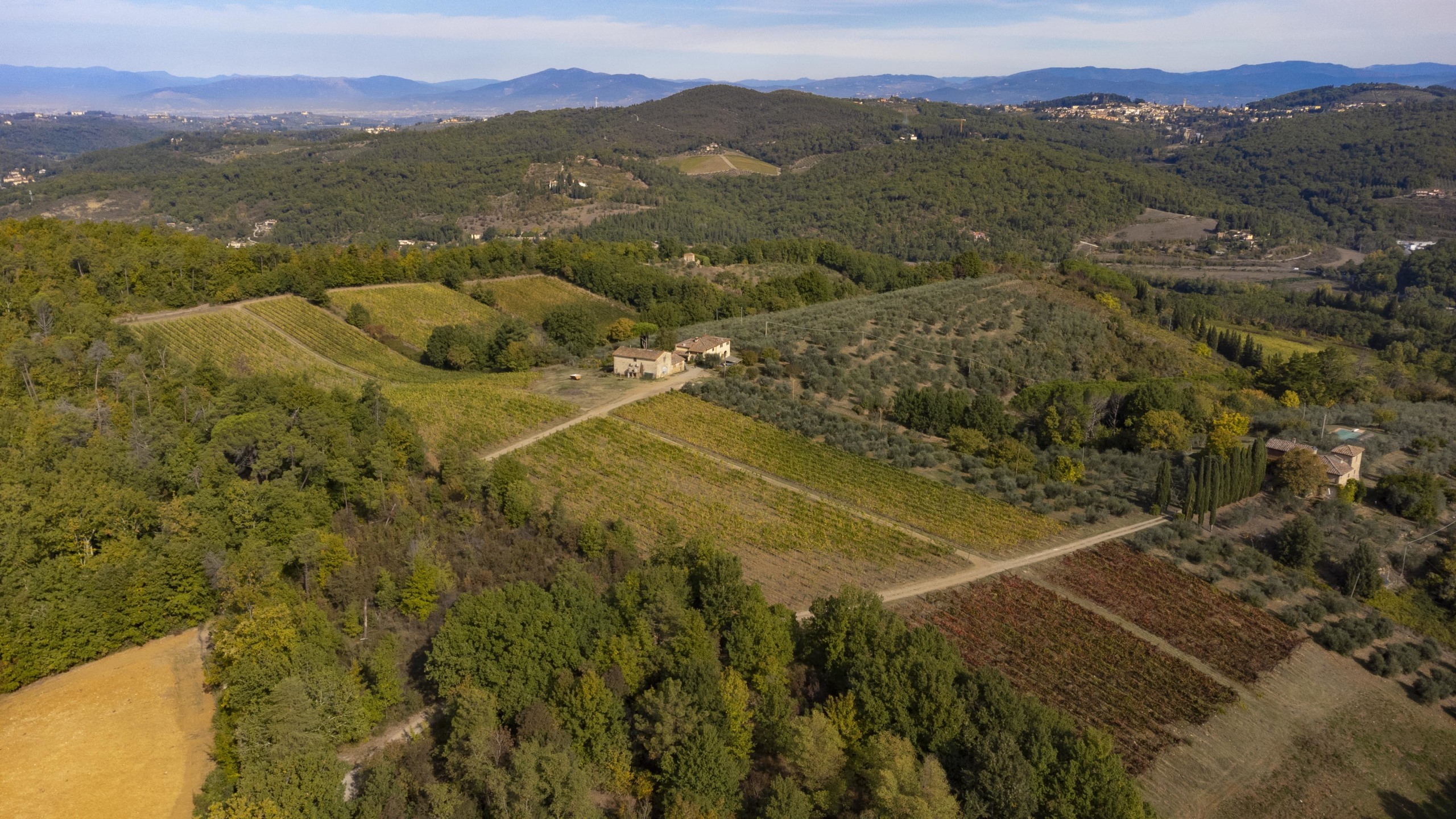 Two farmhouses producing wine and oil near San Casciano Val di Pesa ...