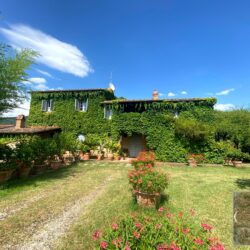 Beautiful villa with pool for sale near Castiglion Fiorentino Arezzo Tuscany (2)