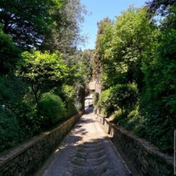 Castle for sale in Tuscany (45)
