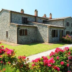 Lovely property with pool for sale near Orvieto Umbria (5)
