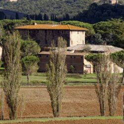 Historic Villa for sale nar Siena, Tuscany (8)