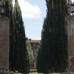 Historic villa for sale near Siena (1)