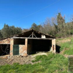 Wonderful restoration property for sale near Cortona Tuscany (16)