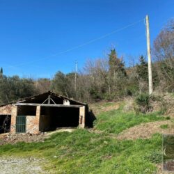 Wonderful restoration property for sale near Cortona Tuscany (24)