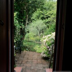 Charming Hamlet House for sale in Tuscany (12)