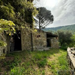 A characterful house for sale near Cortona in Tuscany (10)