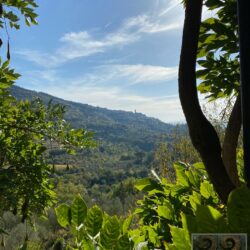 A characterful house for sale near Cortona in Tuscany (30)