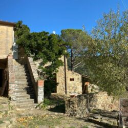 A characterful house for sale near Cortona in Tuscany (46)