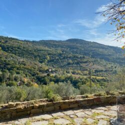 A characterful house for sale near Cortona in Tuscany (47)
