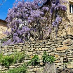 A characterful house for sale near Cortona in Tuscany (53)