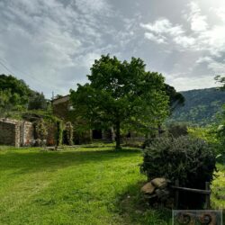 A characterful house for sale near Cortona in Tuscany (56)