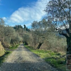 Villa for sale near Florence Tuscany (1)