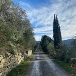 Villa for sale near Florence Tuscany (2)