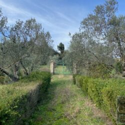Villa for sale near Florence Tuscany (26)