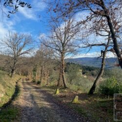 Villa for sale near Florence Tuscany (3)