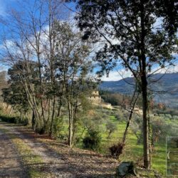 Villa for sale near Florence Tuscany (4)