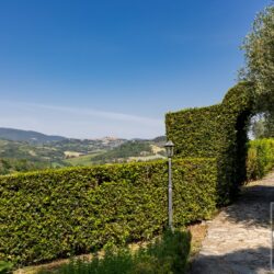 Agriturismo for sale near San Gimignano Tuscany (13)