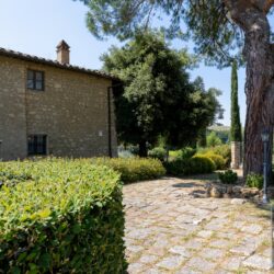 Agriturismo for sale near San Gimignano Tuscany (21)