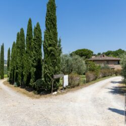 Agriturismo for sale near San Gimignano Tuscany (26)