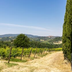 Agriturismo for sale near San Gimignano Tuscany (27)