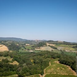 Agriturismo for sale near San Gimignano Tuscany (3)