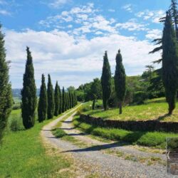 Apartment with pool for sale near Volterra Tuscany (40)