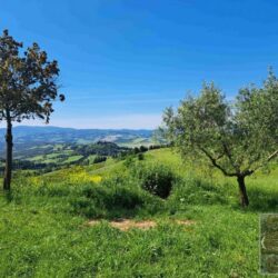 Apartment with pool for sale near Volterra Tuscany (44)