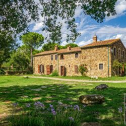 Beautiful Tuscan Farmhouse for sale near the coast with pool and apartments (18)