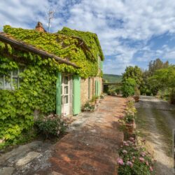 A beautiful Tuscan Farmhouse for sale with Greenhouse near Arezzo (6)