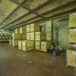 Castle Winery for sale in Tuscany (1)