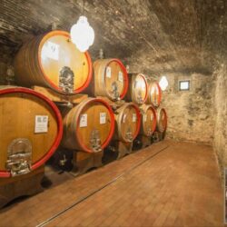 Castle Winery for sale in Tuscany (28)