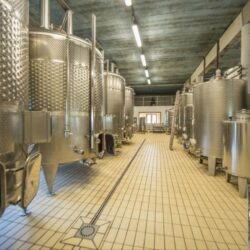 Castle Winery for sale in Tuscany (35)