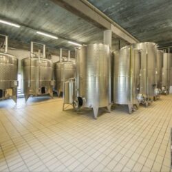 Castle Winery for sale in Tuscany (36)