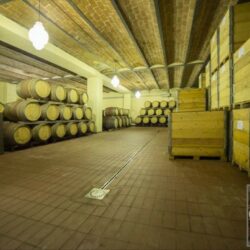 Castle Winery for sale in Tuscany (40)