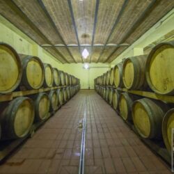 Castle Winery for sale in Tuscany (42)