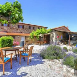 Farmhousr for sale near Suvereto (1)