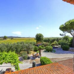 Farmhousr for sale near Suvereto (16)